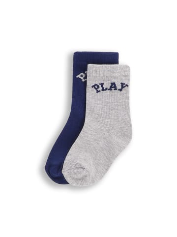 Coccodrillo Socken in bunt