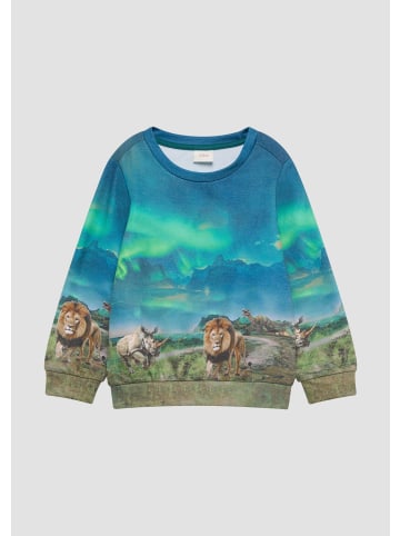 s.Oliver Sweatshirt in 00D1_neon