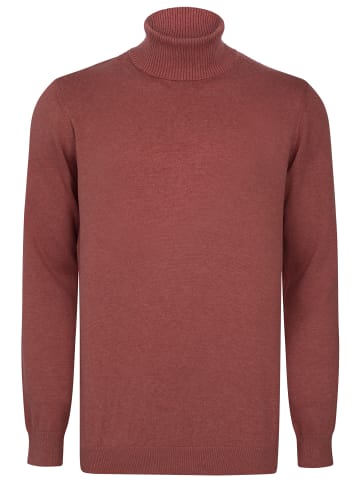 Felix Hardy Rollkragenpullover in Rosa