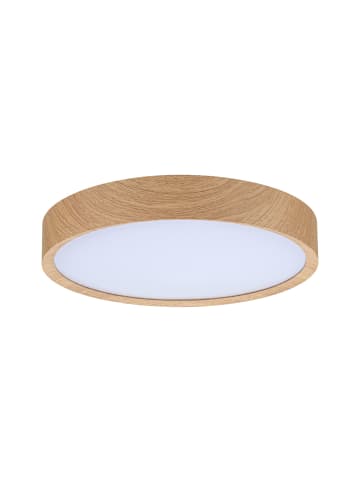 paulmann Selection Bathroom LED Deckenleuchte Tega