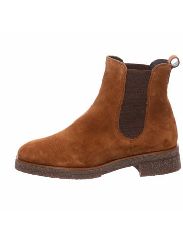 Paul Green Stiefeletten für Damen in braun