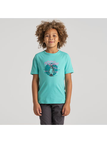 Craghoppers T-Shirt Ellis in Ocean Green Penguin