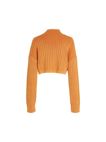 CALVIN KLEIN JEANS Sweatshirt in burnt clay