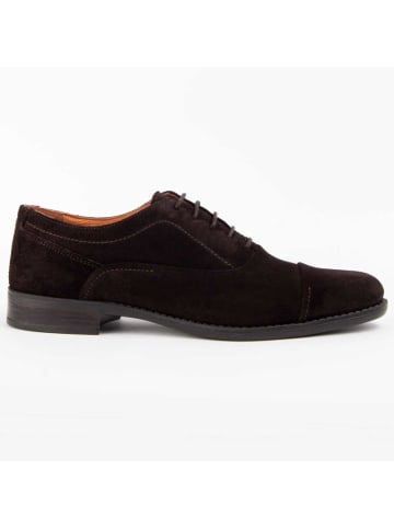Purapiel Schnürschuhe Dario Brown in Braun