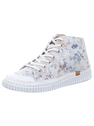 Andrea Conti SHOES Schnürschuhe in weiss/komb