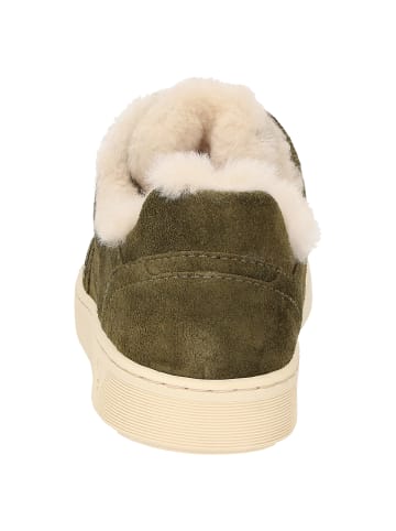 Sioux Sneaker Maites sneak 007-LF in grün