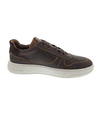 Ecco Move Sneaker Sneaker low Braun