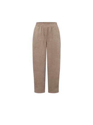 MAC Hose in Braun