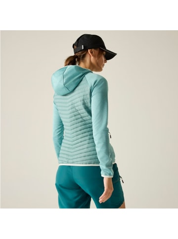 Regatta Andreson Hybrid Softshelljacke in Ivy Moss