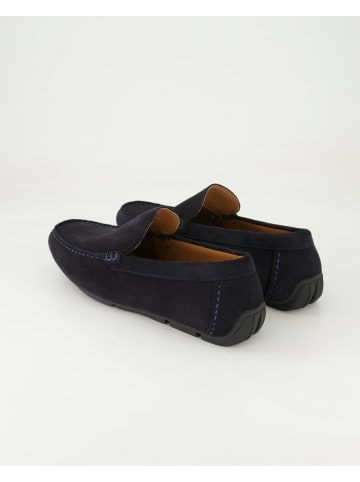 Daniel Kenneth Slipper in Blau