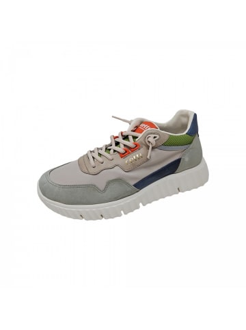 Cetti Sneaker Ante in Grau
