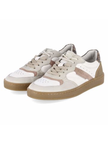Bullboxer Low Sneaker in beige