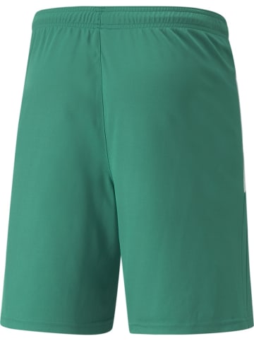Puma Sportshorts "TeamLIGA Shorts" in Grün
