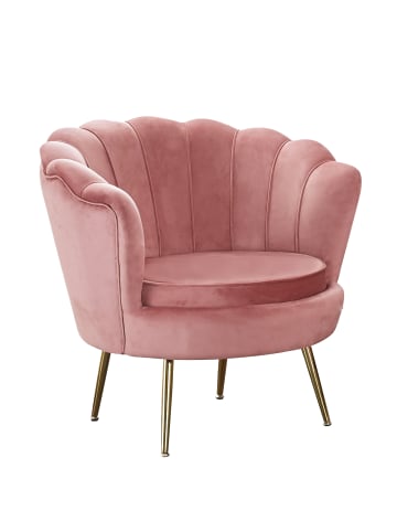 SalesFever Loungesessel im Muscheldesign Chromgestell in Goldoptik & Samtbezug in Rose