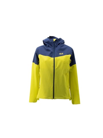 Jack Wolfskin Jacke Alpine Trail Softshell Flexshield Texapore O2 in Grün