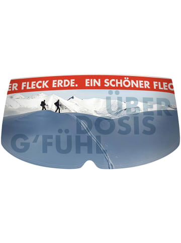 EIN SCHÖNER FLECK ERDE W ÜBERDOSIS GFÜHL PANTY in Grau