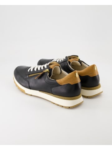 Paul Green Sneaker low in Schwarz