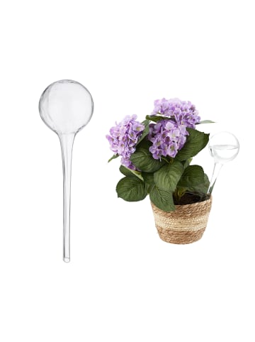 relaxdays 4 x Bewässerungskugel in Transparent