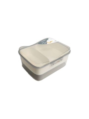 Michelino Lunchbox mit Einteiler Grau in Grau