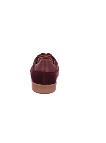 Gabor Sneaker Low in bordo
