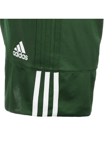 adidas Performance Trainingsshorts 3G Speed Reversible in dunkelgrün / weiß