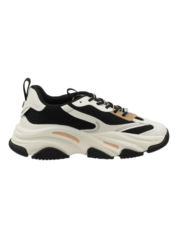 Steve Madden Sneaker in Schwarz/Beige