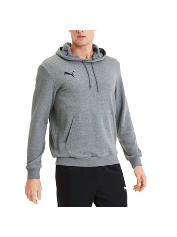 Puma Sweatshirt teamGOAL 23 Casuals Hoody in grau