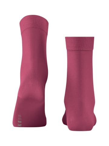 Falke Cotton Touch Socke in Engl. rose
