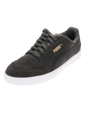 Puma Sneaker Low in Grau