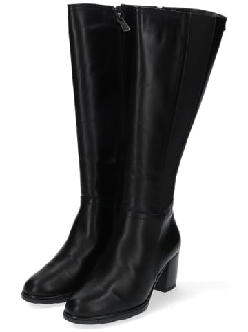 Igi&Co Stiefel in Schwarz