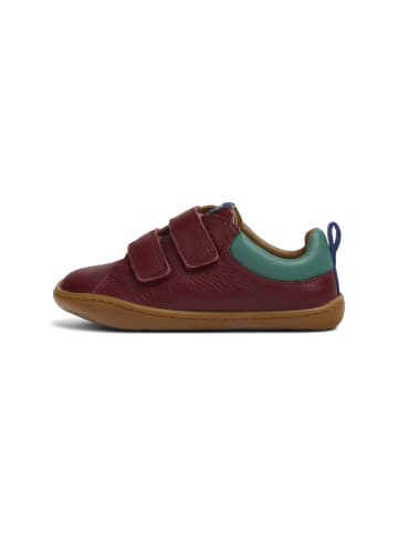 Camper Sneaker " Peu Cami " in Bordeaux