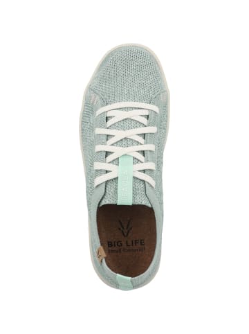 Saola Sneaker low Cannon Knit 3 W XT in blau