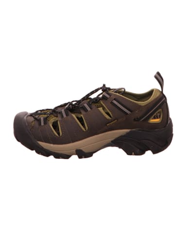 Keen Schnürschuh in braun