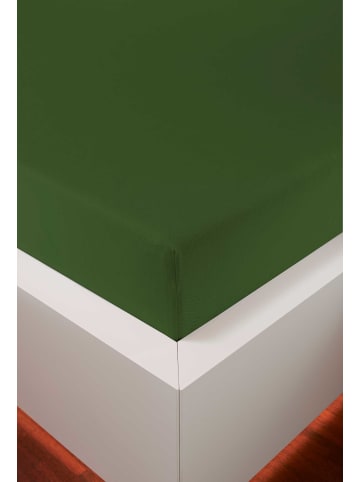 bellana jersey Spannbetttuch Dream Style Platin in jungle