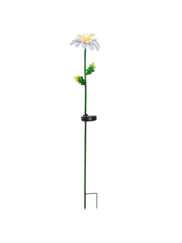 STAR Trading LED Solar Gartenstecker Blume Gänsemblüchen in weiß - H: 77cm
