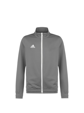 adidas Performance Trainingsjacke Entrada 22 in grau / weiß