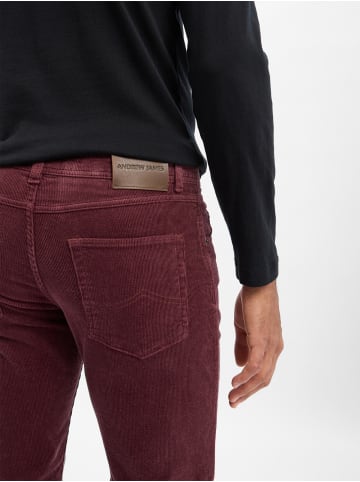 Andrew James Cordhose Aiden in aubergine - 0010