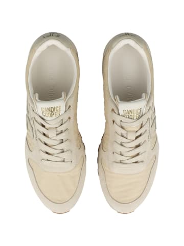 Candice Cooper Sneaker low PLUME 3 in creme