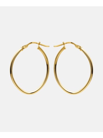 Vanlere Creolen aus 375 Gelbgold
