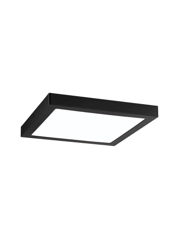 paulmann LED Panel Abia