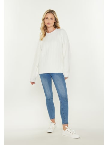 usha BLUE LABEL Women Sweater in offwhite
