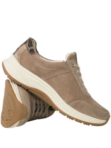 Ganter Freizeit Schnürer für Damen in beige