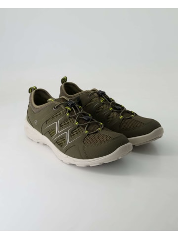 Ecco Sneaker low in Grün