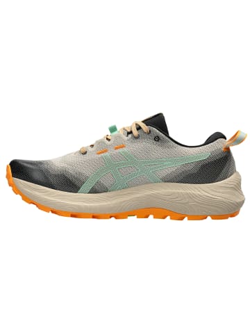 asics Laufschuh Gel-Trabuco 12 in grau / mint