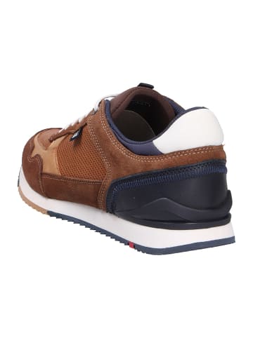 LLOYD Sneaker in braun