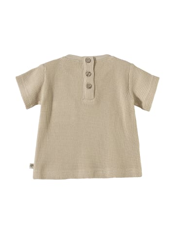 Sterntaler Kurzarm-Shirt Hase Happy in beige