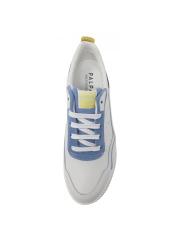 Palpa Sneaker  in Weiß