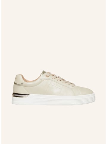 s.Oliver Sneakers in 81D9_beige