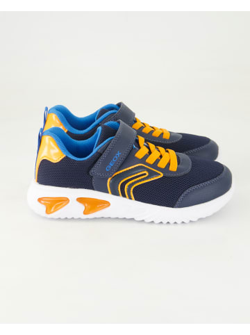 Geox Klettschuhe in Blau
