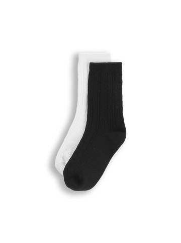 Coccodrillo Socken in bunt